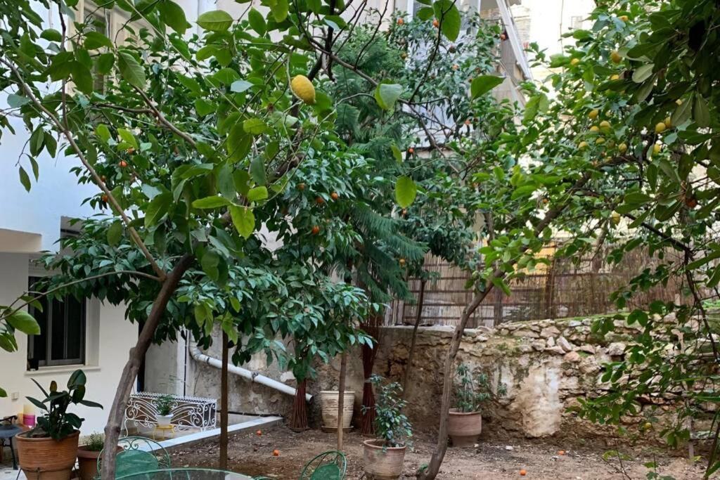 Quiet And Central Flat With Private Backyard Garden Athena Bagian luar foto